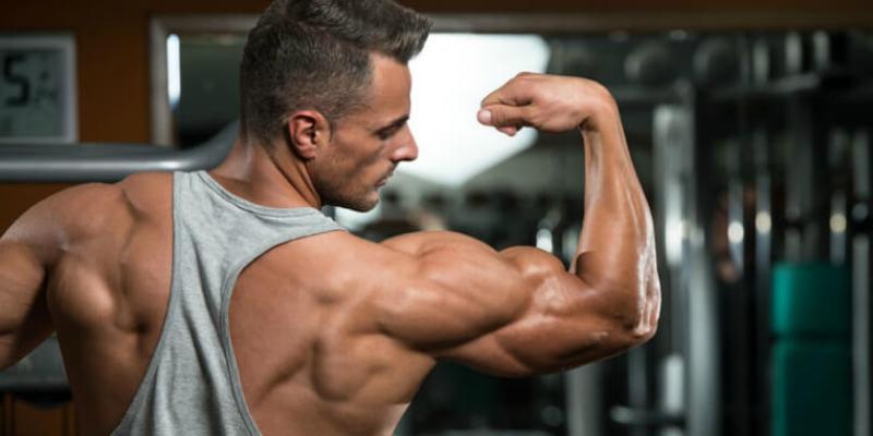 Into Bodybuilding? You Will Need Muscle Building Supplements